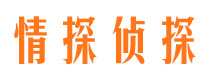 绥棱市调查公司